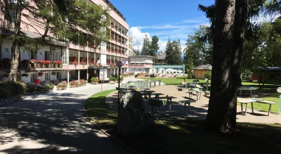 A photograph of Valaisia