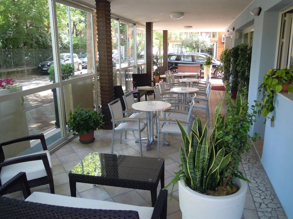 A photograph of Solidea