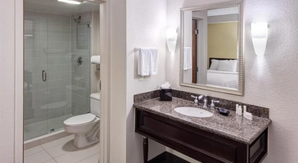 SpringHill Suites Dallas Downtown/West End
