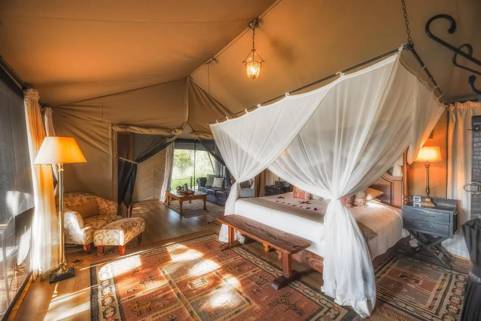 Elewana Sand River Masai Mara otelinden bir fotoğraf