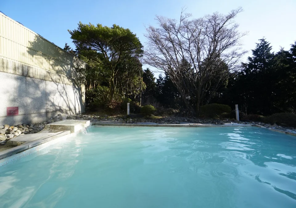 Hakone Yunohana Prince Hotel