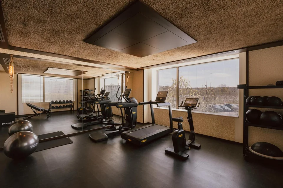 Maison Heler Metz, Curio Collection by Hilton