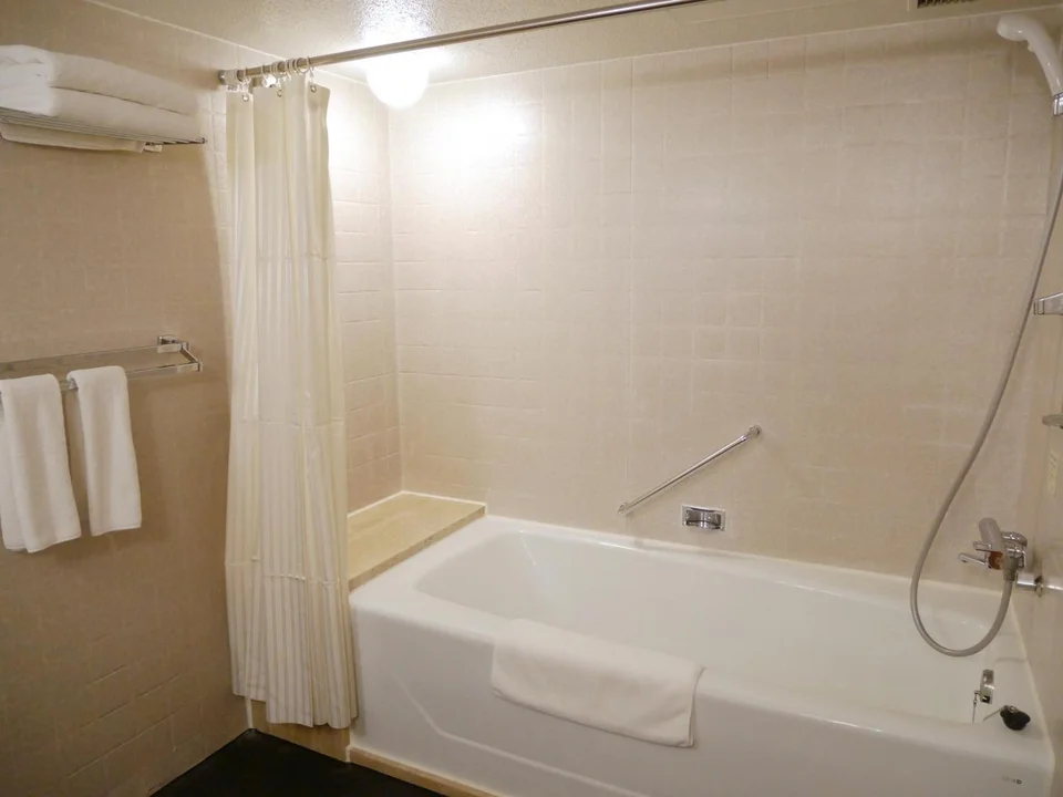 ANA Crowne Plaza Fukuoka