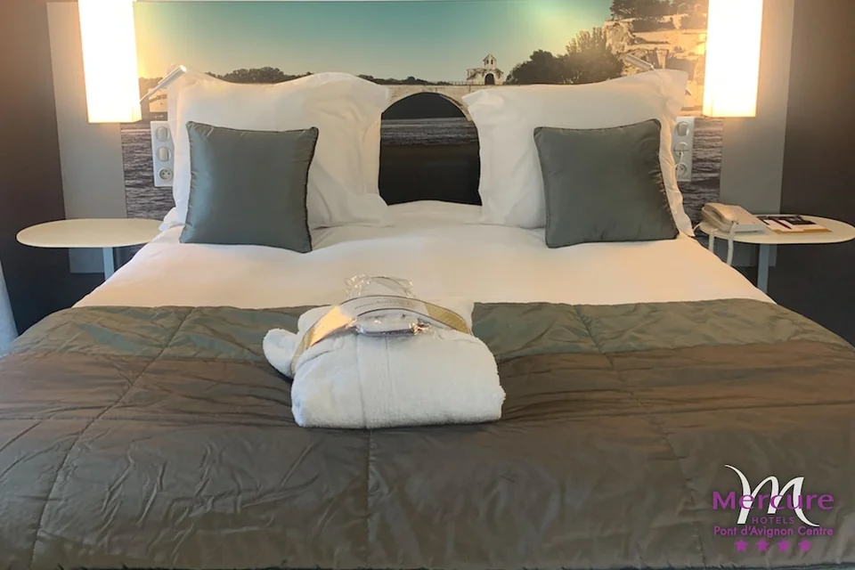 Hôtel Mercure Pont d'Avignon Centre