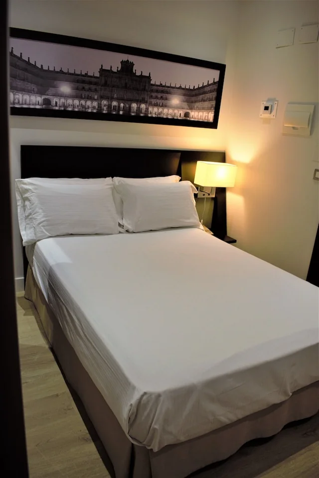 Sercotel Las Torres Salamanca