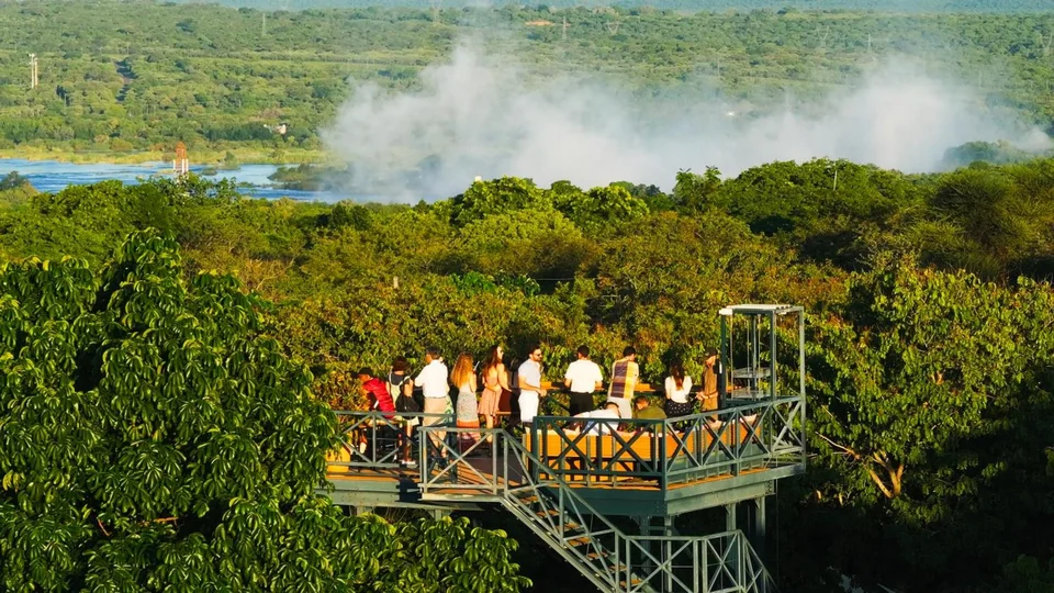 Shongwe Oasis