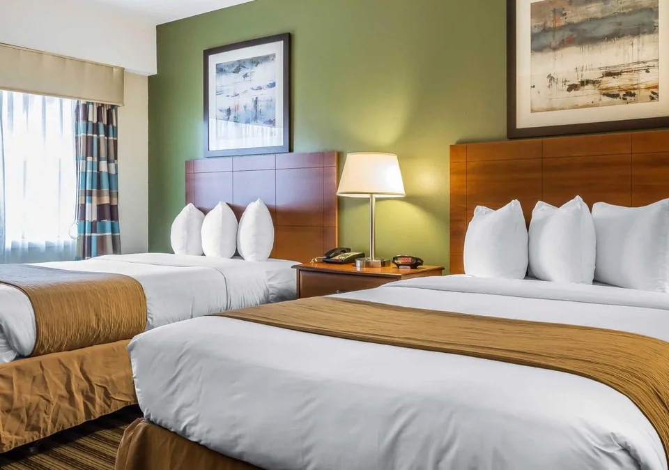 Quality Inn Flamingo