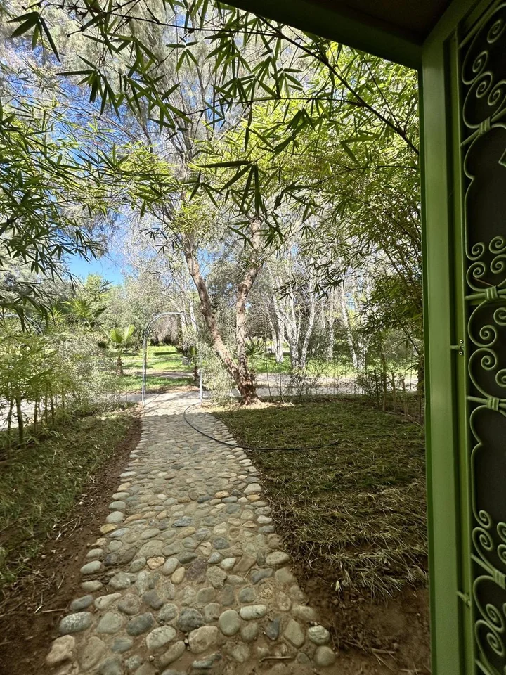 Palais Claudio Bravo