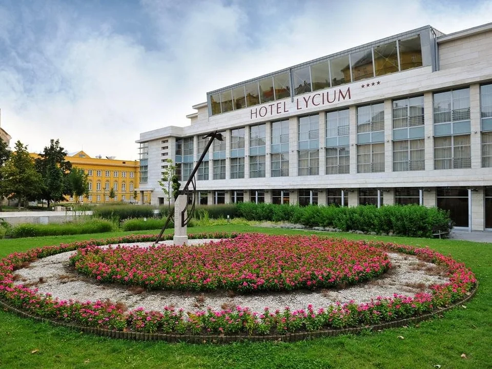 A photograph of Lycium Debrecen