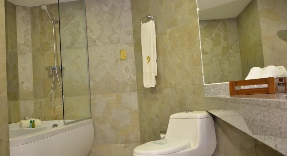 Hotel Presidente