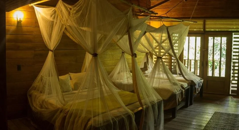 Hotel On Vacation Amazon otelinden bir fotoğraf