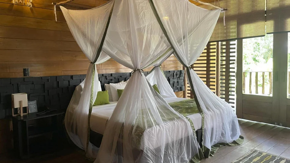 Hotel On Vacation Amazon
