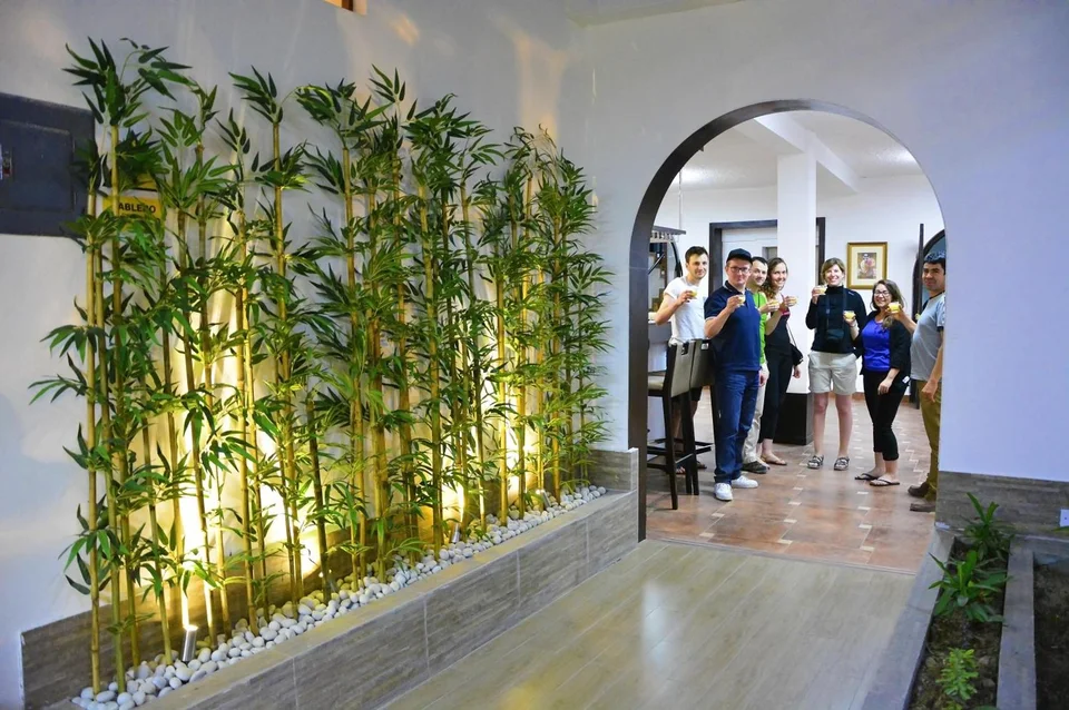 Hotel Alegría