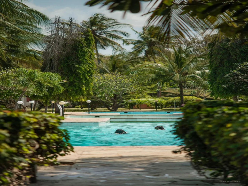 Bahari Dhow Beach Villas