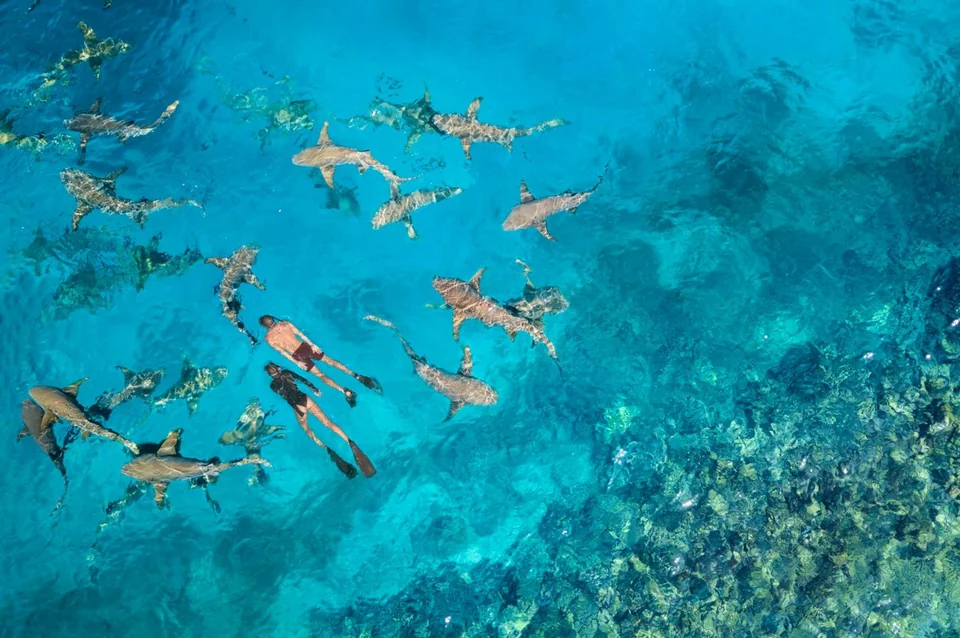 Anantara Veli Maldives Resort