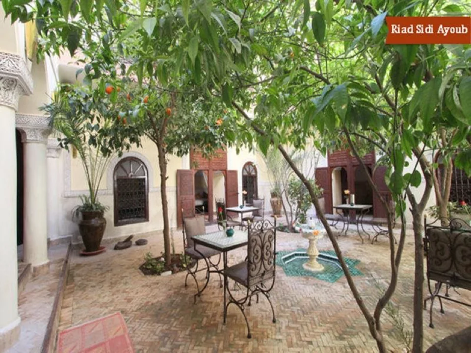 Riad Sidi Ayoub otelinden bir fotoğraf