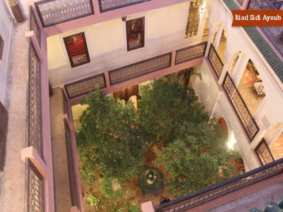 Riad Sidi Ayoub