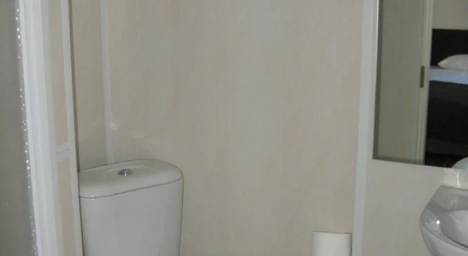 A1