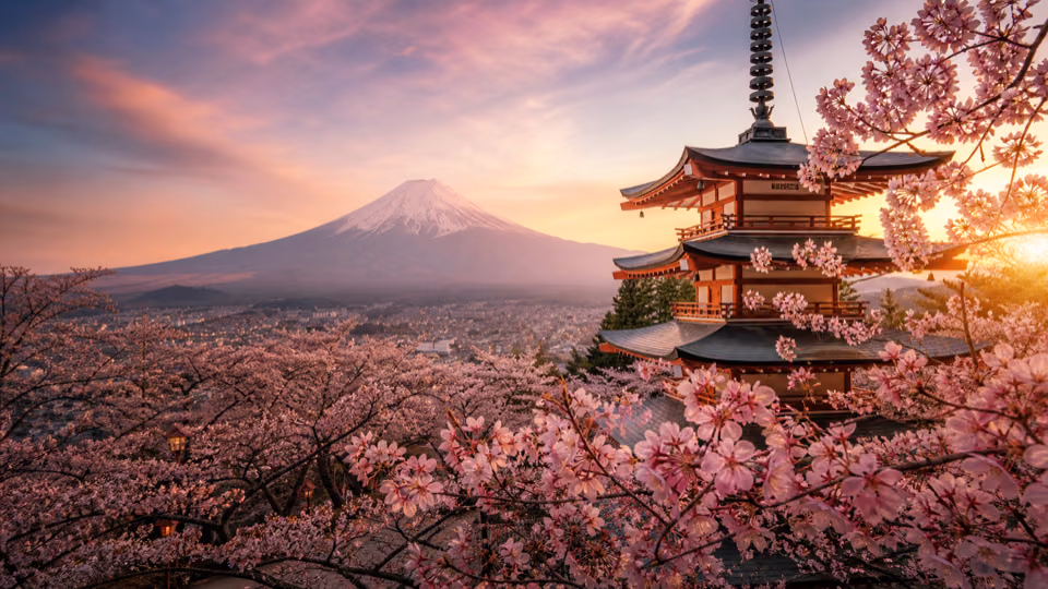 Japonya Sakura Zamanı