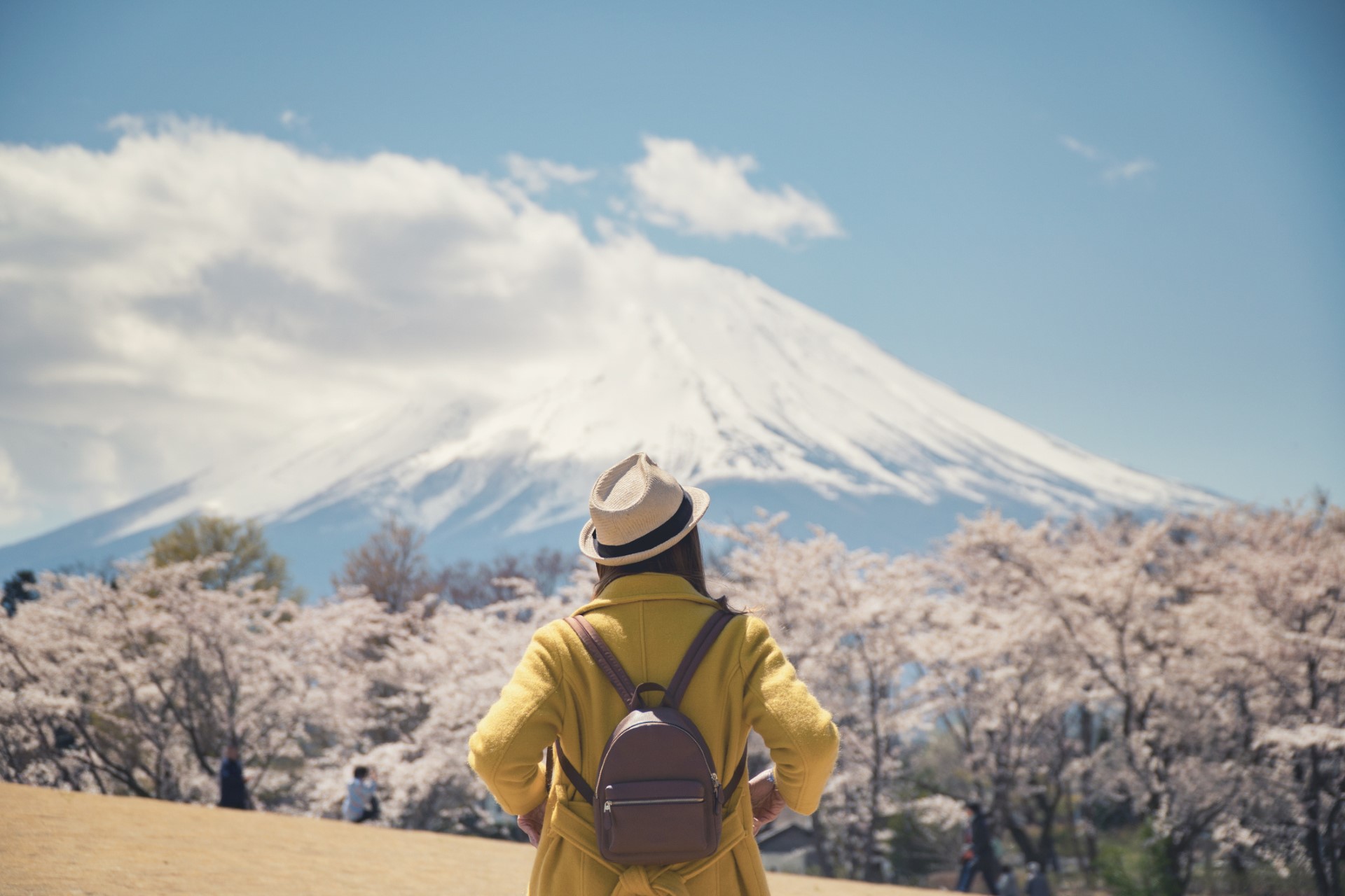 JAPONYA KORE TURLARI THY -HND 12 GÜN - 2026