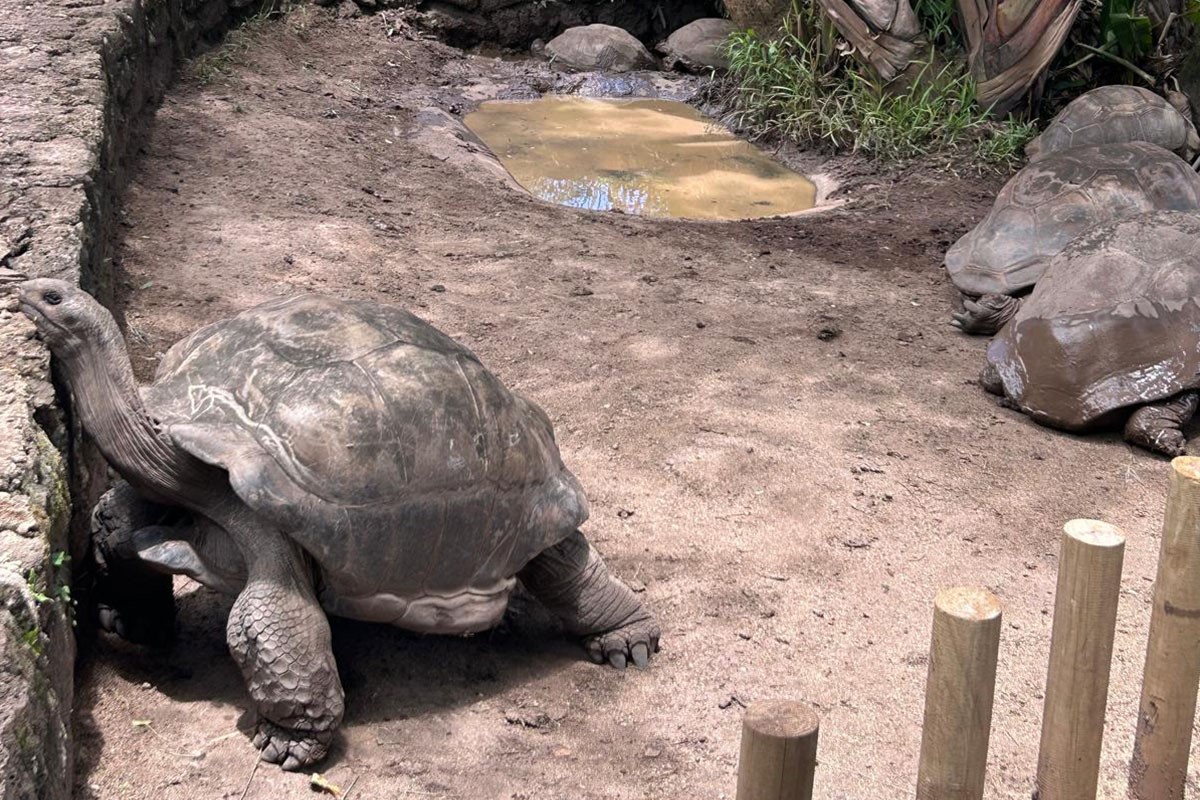 Madagascar Seychelles - 10 Days - Emirates