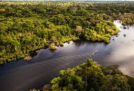 Grande Amazonas - 2026