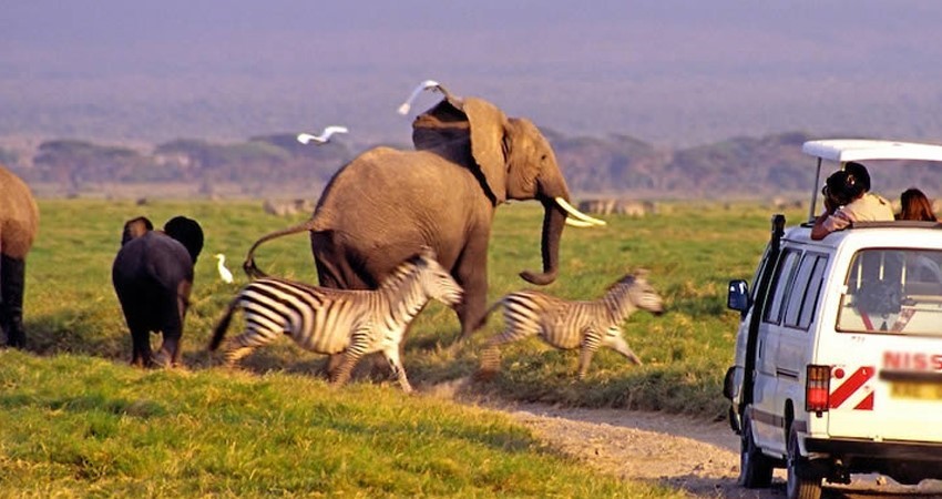 Mombasa Safari Nairobi Tour Kenya 2026
