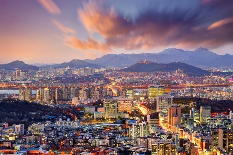 UZUN JAPONYA KORE 14 GÜN- THY