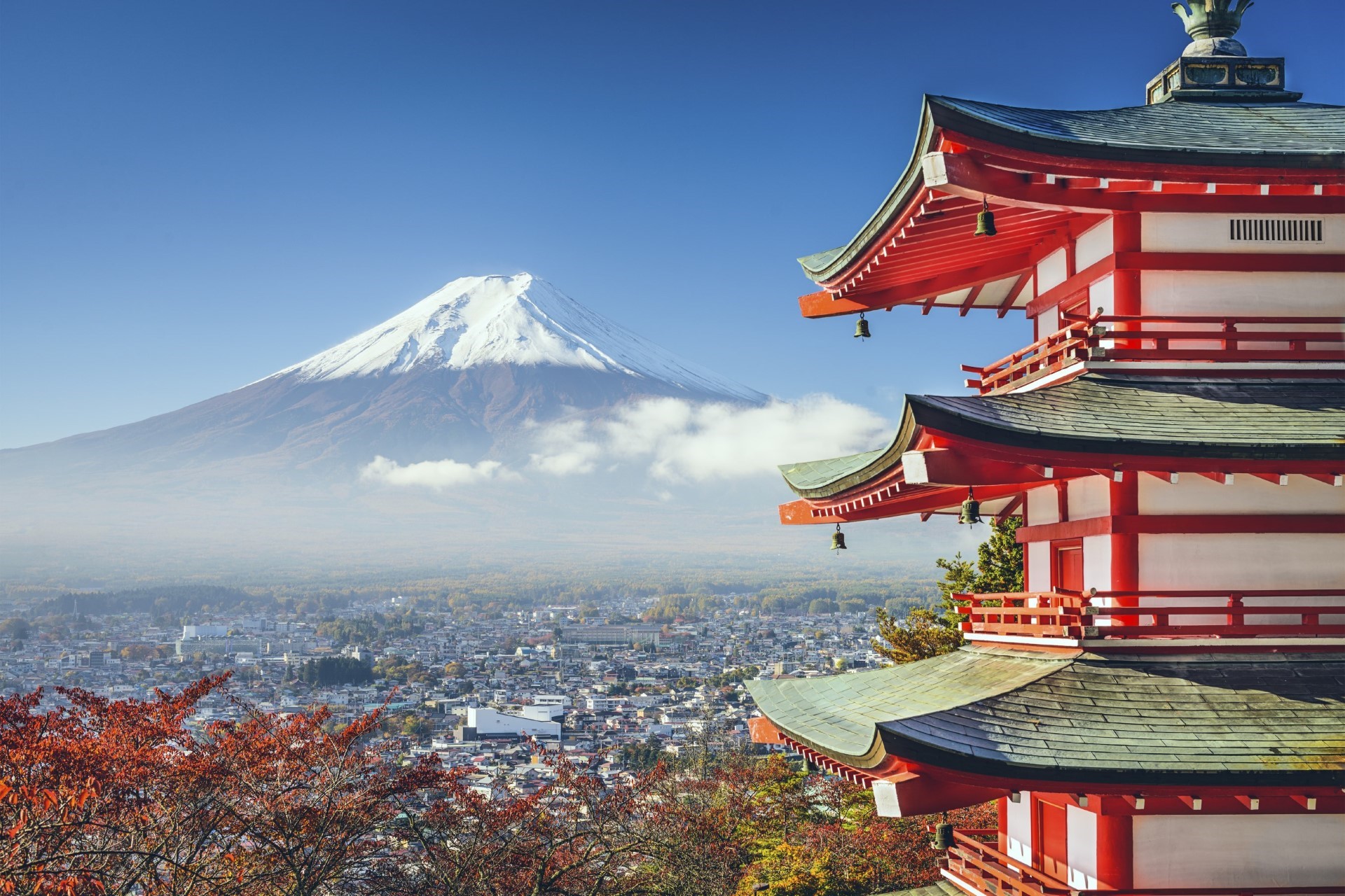 UZUN JAPONYA KORE 14 GÜN- THY