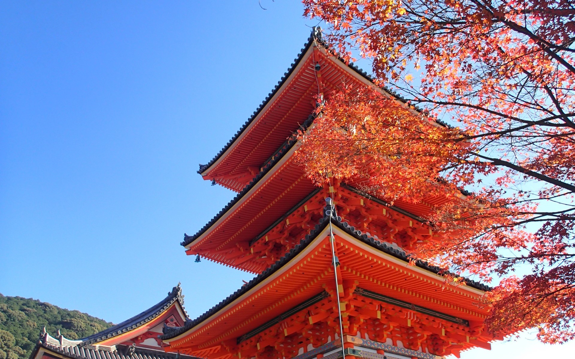 JAPONYA KORE TURU