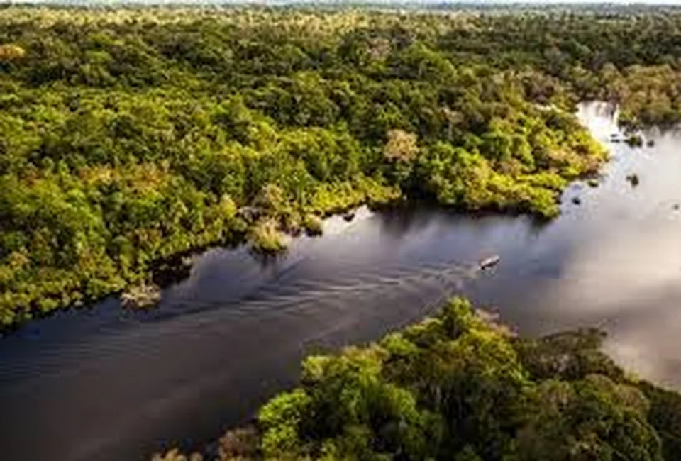 GRANDE AMAZONAS - 2026