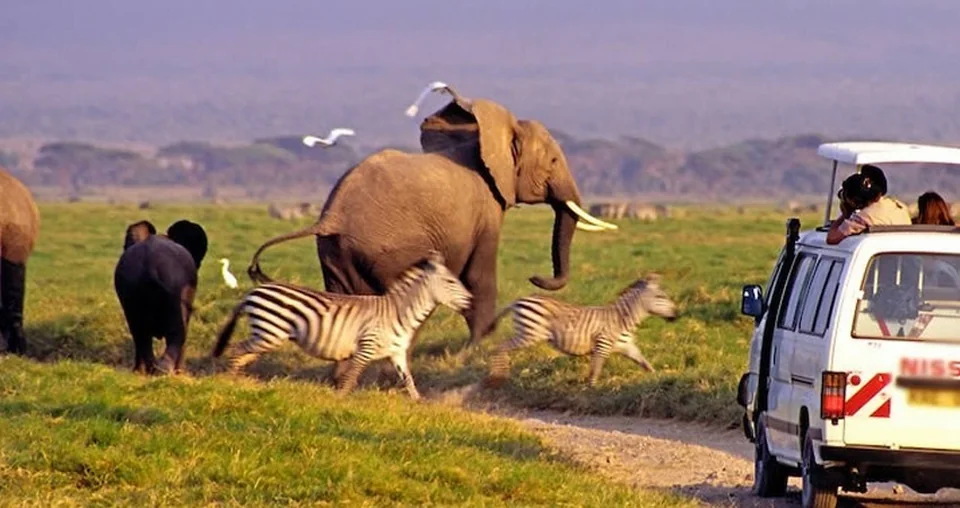MOMBASA SAFARİ NAİROBİ TURU KENYA 2026
