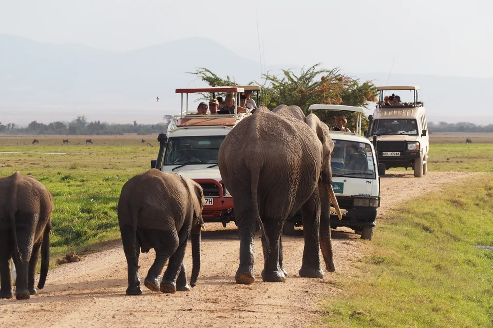 MOMBASA SAFARİ NAİROBİ TURU KENYA 2026