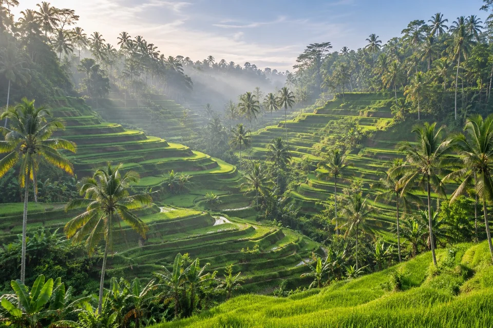 BALİ & UBUD Serüveni Turu Emirates Hava Yolları ile 5 Gece (DPS-DXP-DPS)